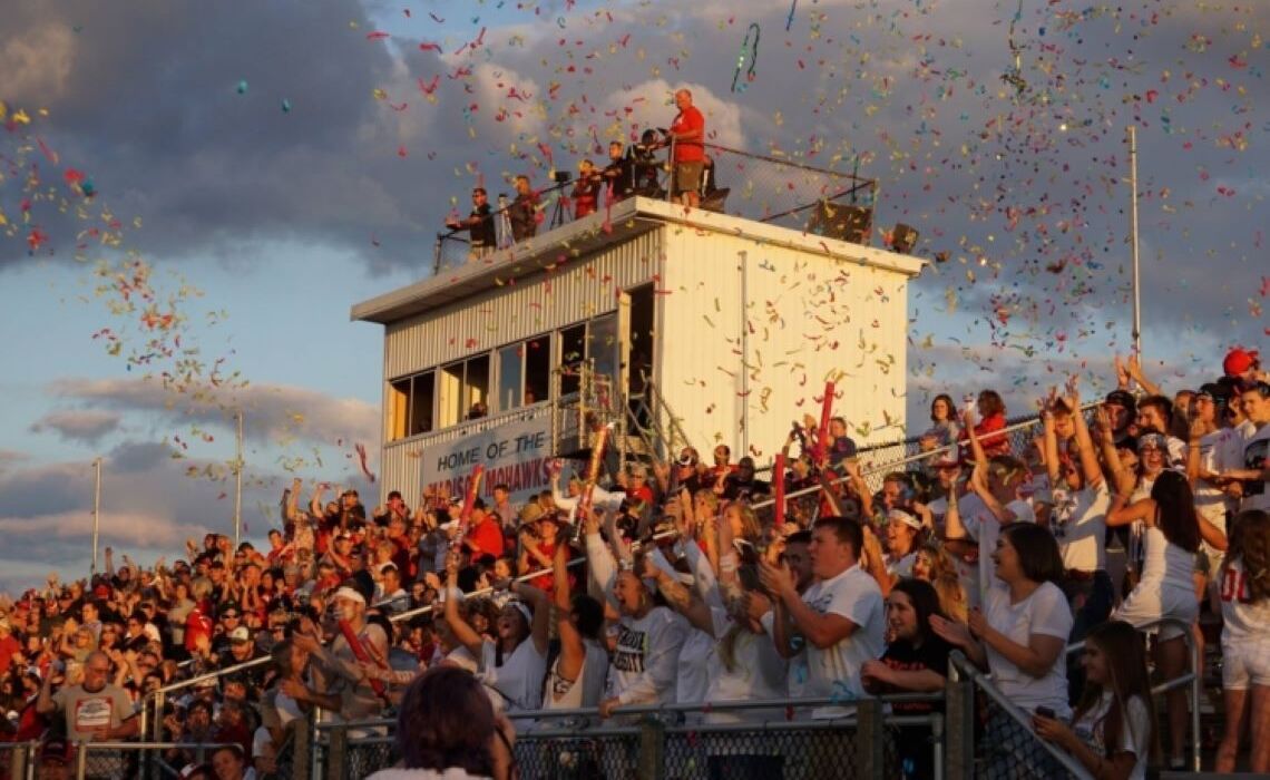 Group cheering in stands